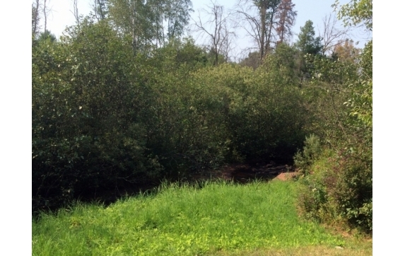 Handsaw Creek Property