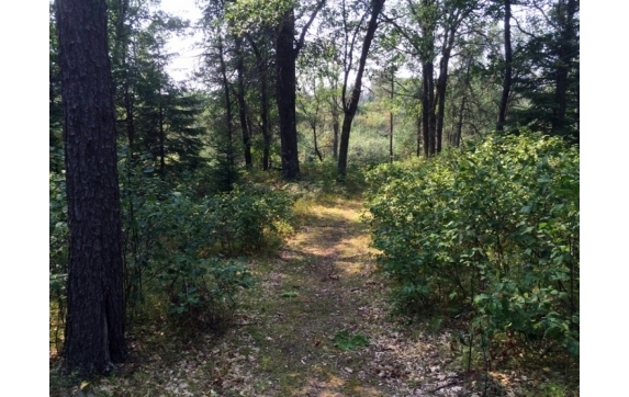 High Falls Marinette County Land for Sale
