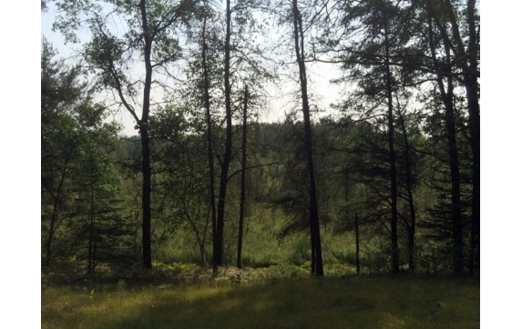 High Falls Marinette County Land for Sale