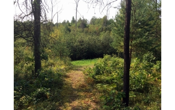 High Falls Marinette County Land for Sale
