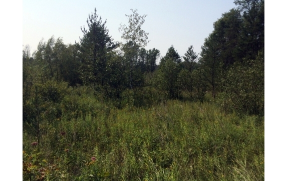 High Falls Marinette County Land for Sale