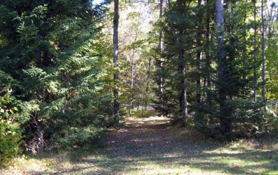 Oconto County Maiden Lake Property for Sale