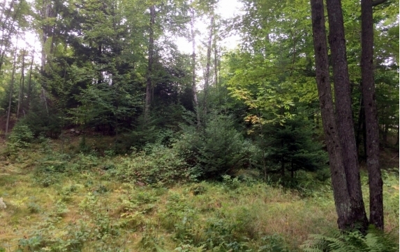 Maiden Lake WI Real Estate